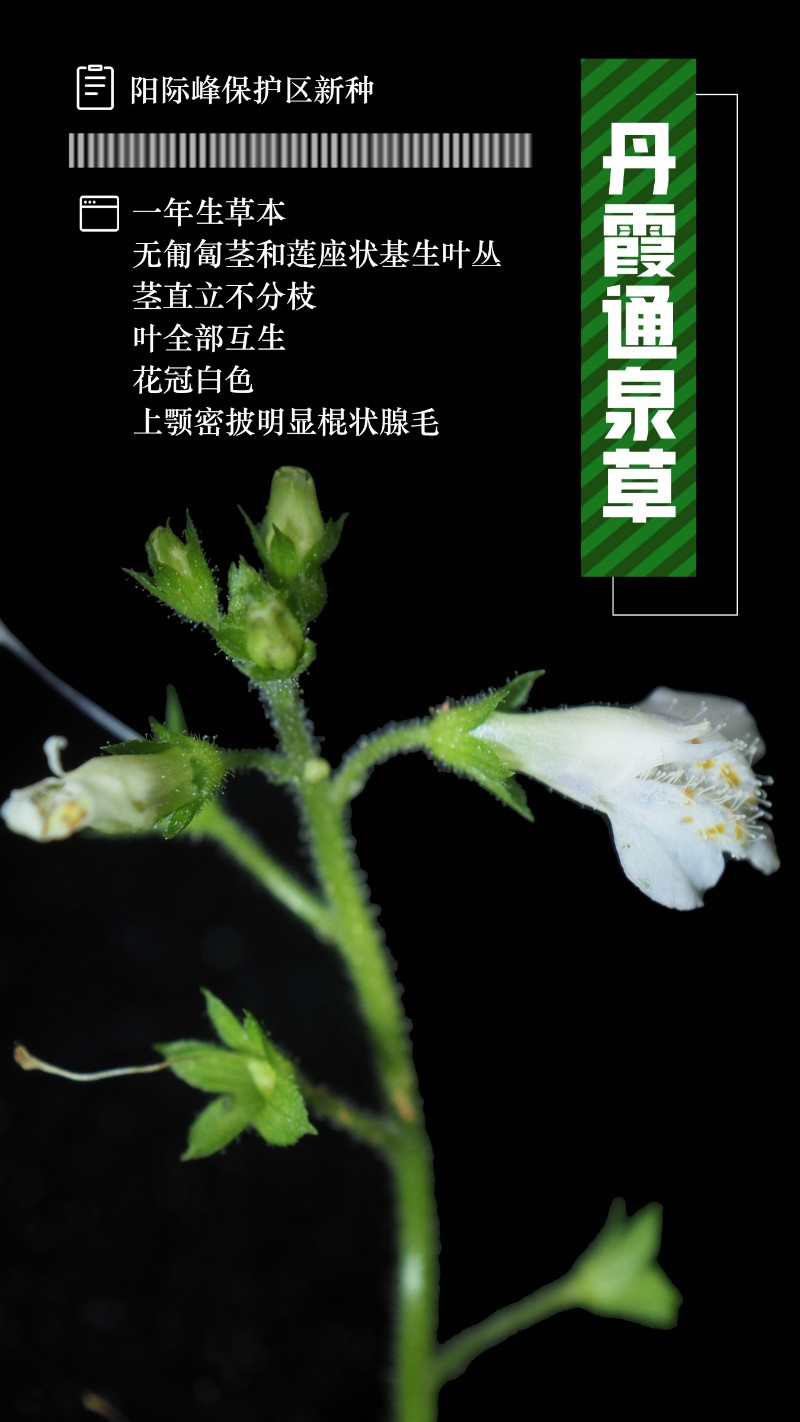 15b6e6d9920440a2a21c4c1de81156e6