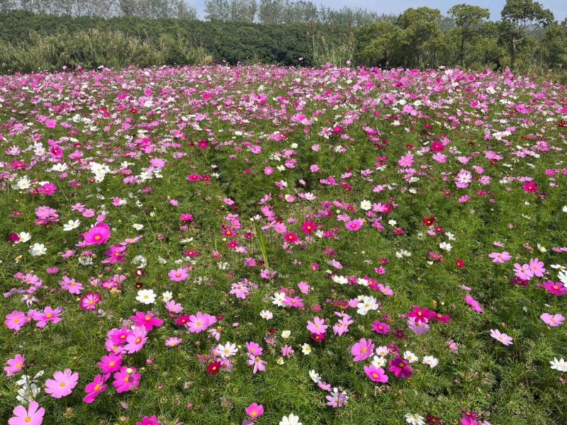 ae16f0d3ac446128764f98a7f440b5e