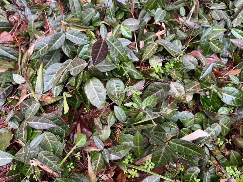 171d9b3d73fe73e073c0344dfa637f7