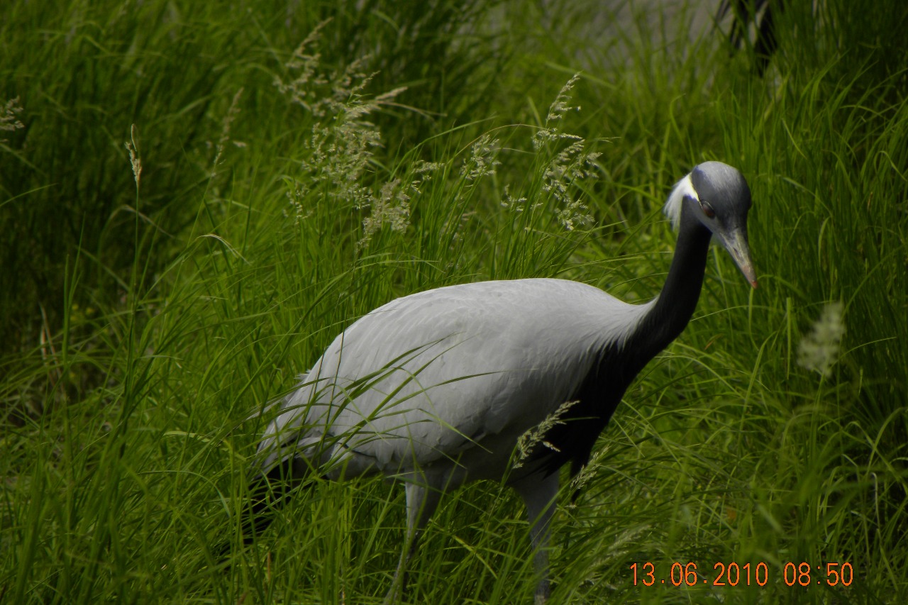 image094