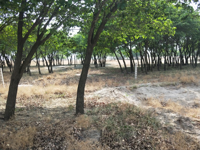 IMG20180515145313
