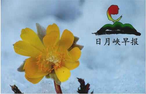 http://pic1.arkoo.com/38A7C2BFE8354EF6BEF6C933CEE7DAFF/picture/p1b7efvl4o1tnp1ct21u5u1hkc1r7b3.jpg