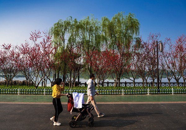 双桂湖国家湿地公园-1.1