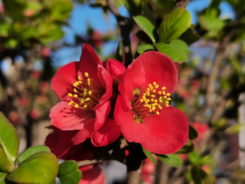 eb813ec4e008bfc53880085ed4fd5fa