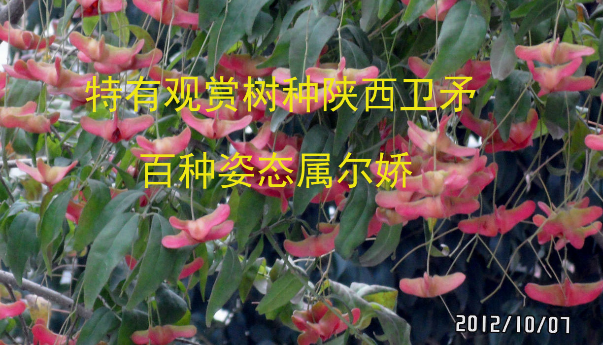 http://pic1.arkoo.com/5695/picture/4C08545806DB4EEB.jpg