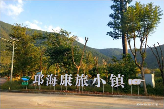 图片6