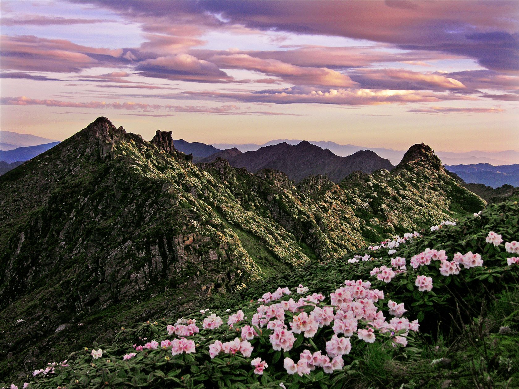 ZP334苍山之夏