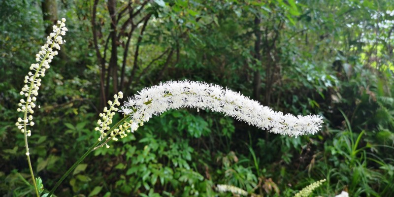 IMG_20190829_065314