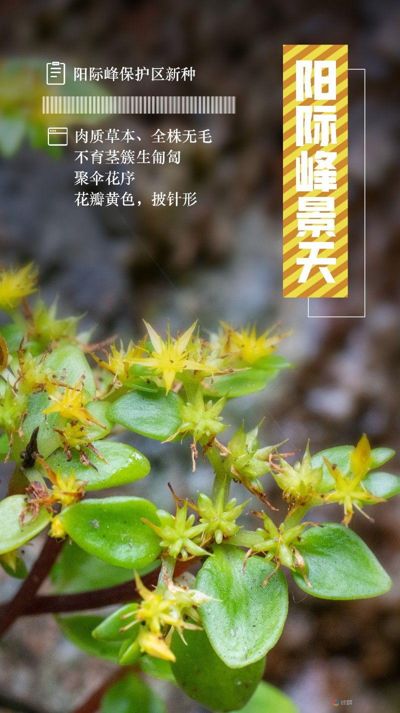 8c771739c6934c6a8a925fdbd61623e9