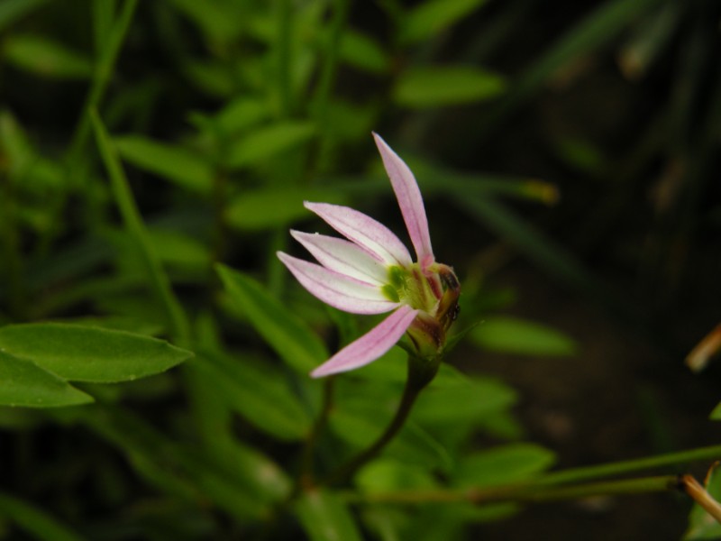 DSCN2888