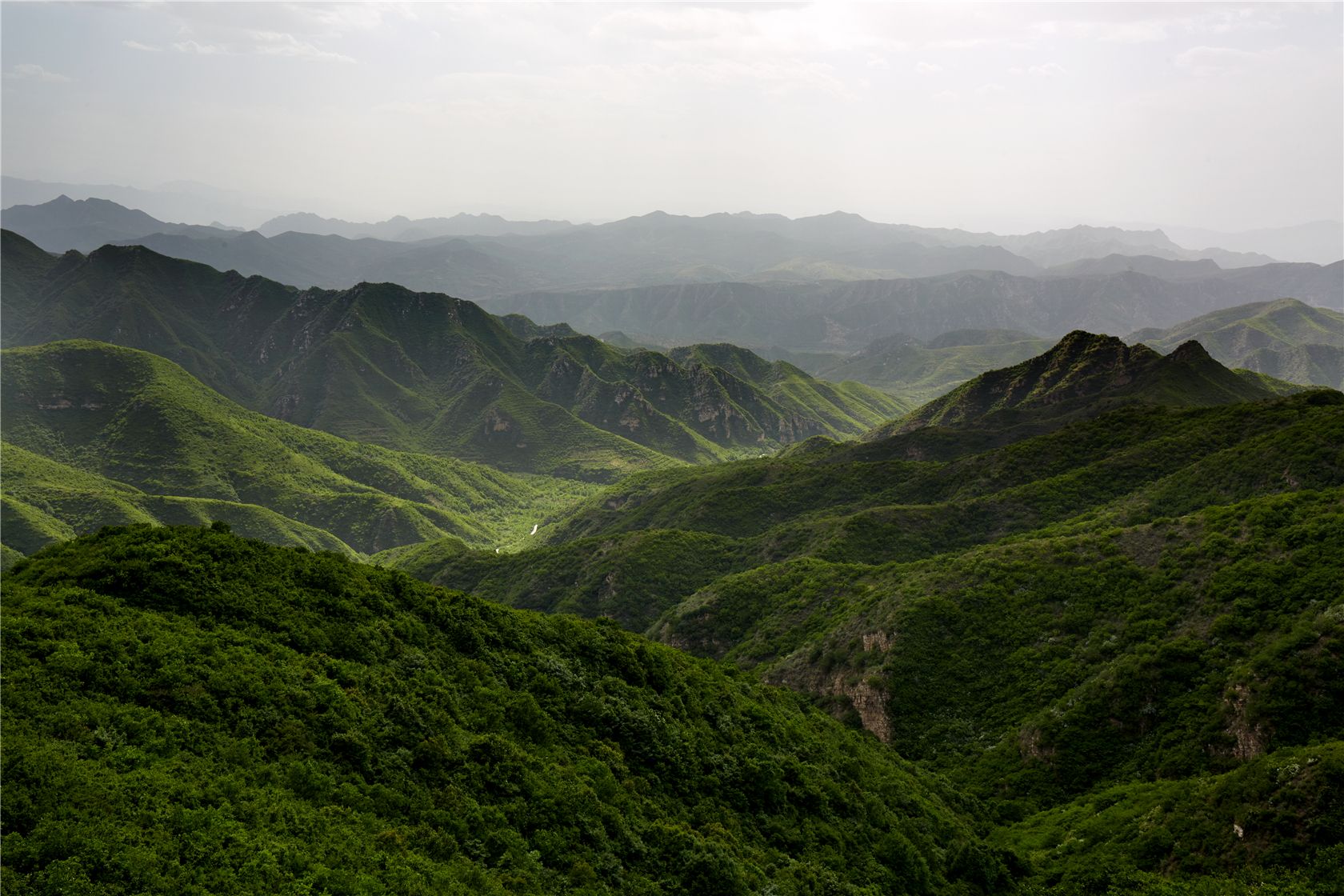 ZP463绿满山谷