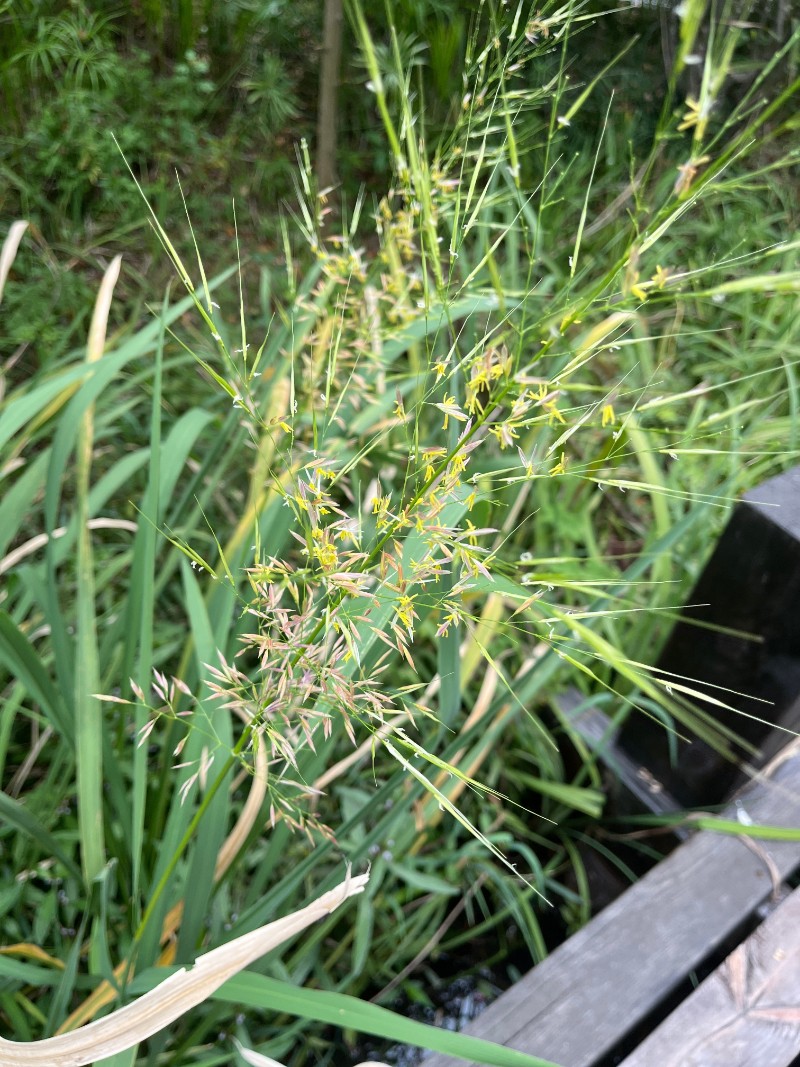 b31df38406e00a116029622f0fd43dd