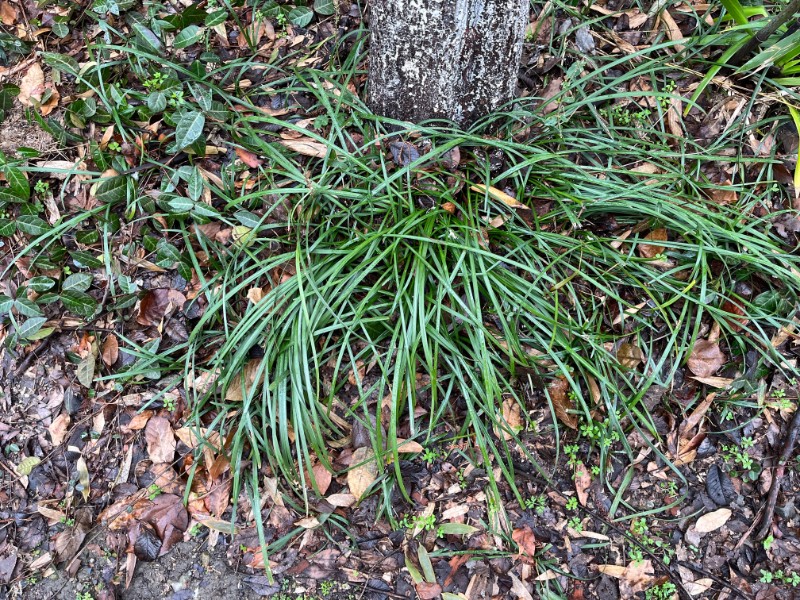 6435889610292ab87f2c8583f9c6c7e