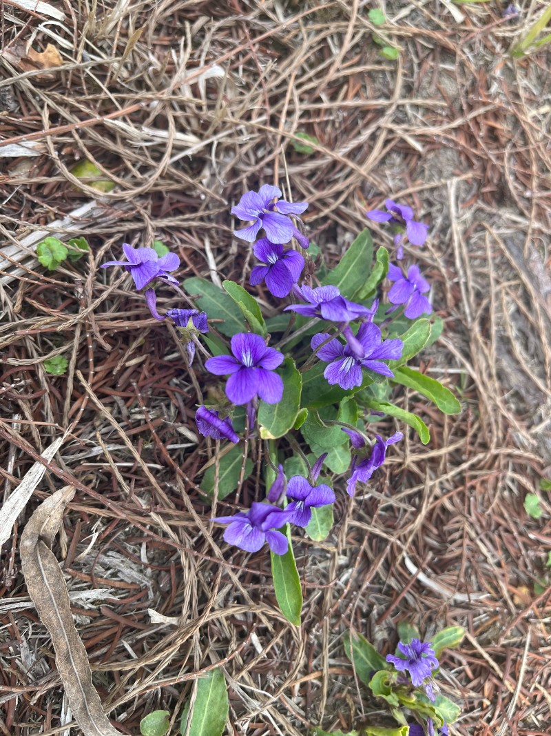 557179e2cde6b6067436568b1ba2a09