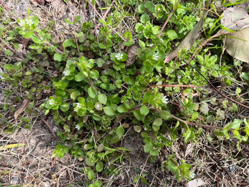 3495aecc8202be4697703fe19c39d87