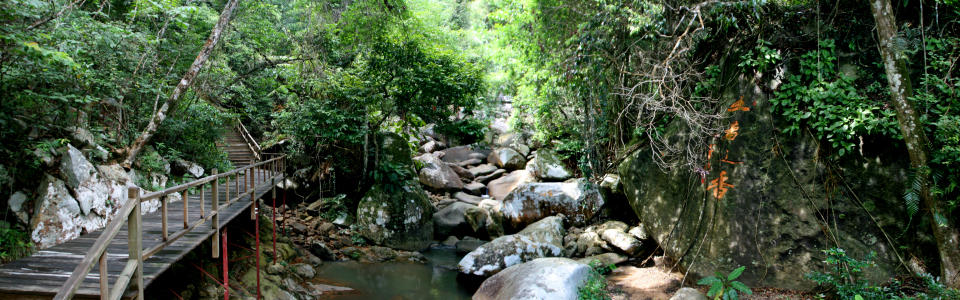 http://pic1.arkoo.com/bawangling/picture/EA7BE088B8C7403B.jpg