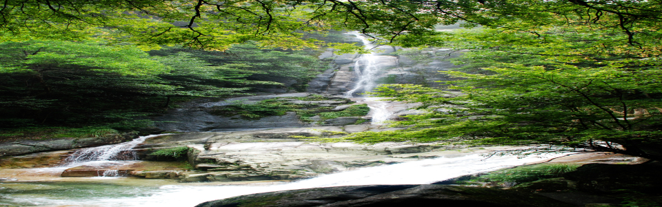 http://pic1.arkoo.com/dazhangshan/picture/491B56D222EF471D.jpg