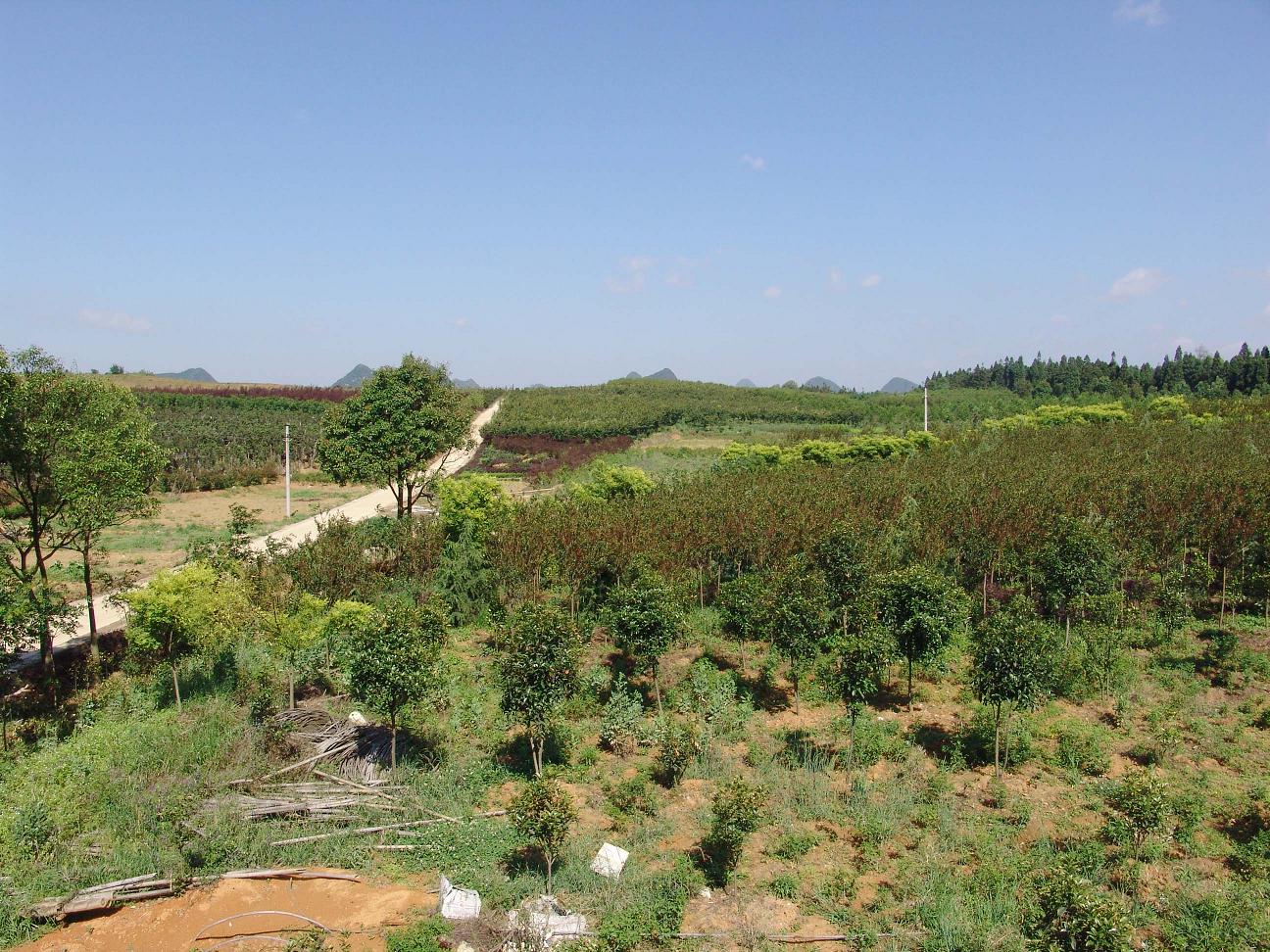 http://pic1.arkoo.com/guizhou/picture/4C15EA55A6FD47B2.jpg