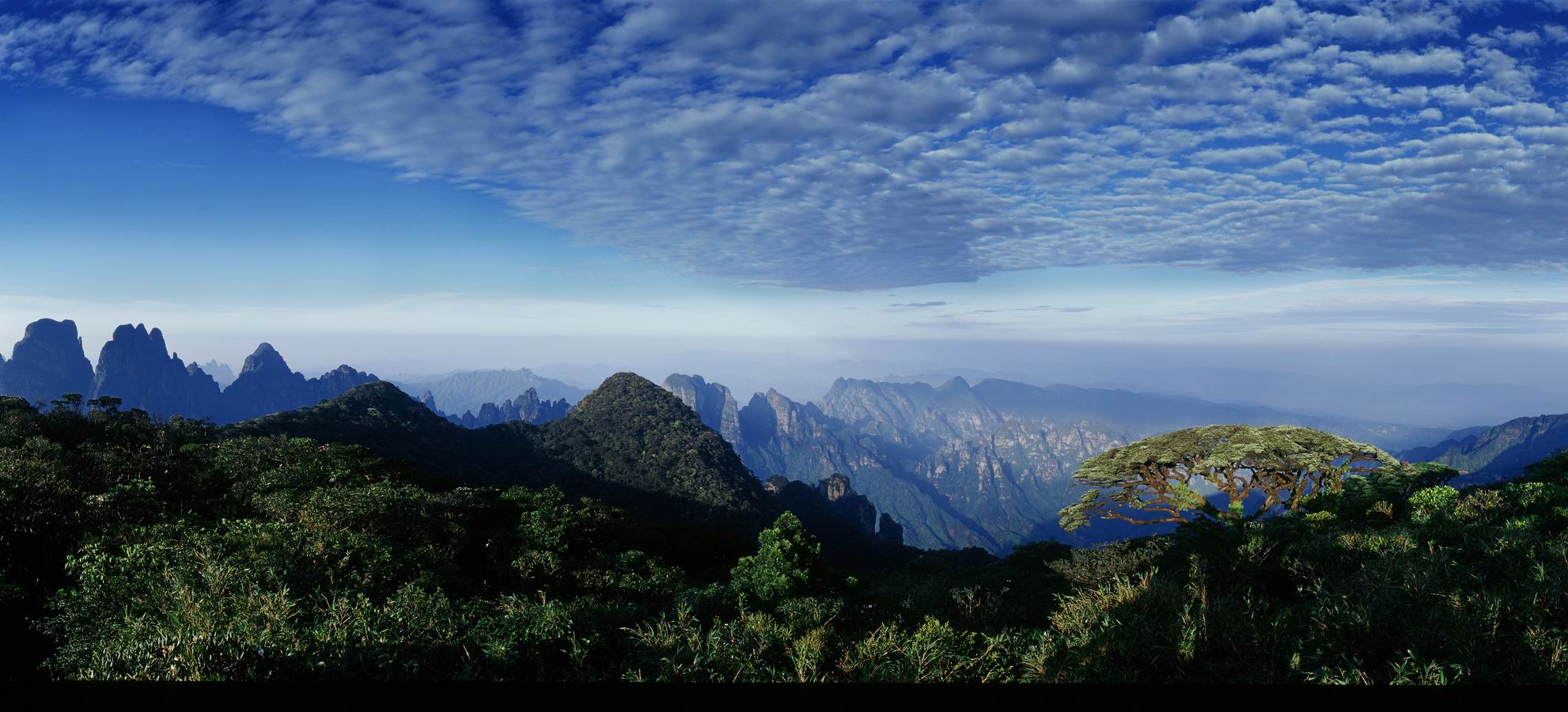 http://pic1.arkoo.com/gxf001/picture/19A1425131CA4575.jpg