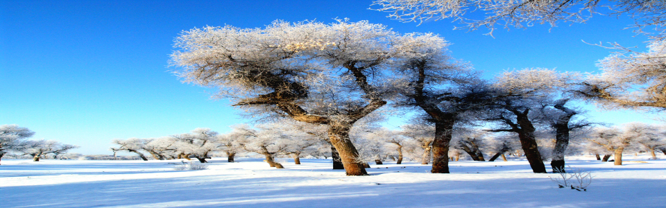 http://pic1.arkoo.com/huyanglin/picture/D9C66D71D3304EBE.jpg
