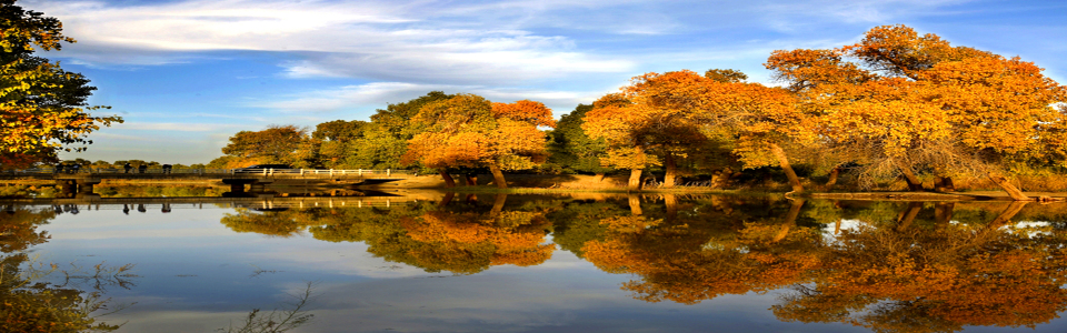http://pic1.arkoo.com/huyanglin/picture/F4873E32148C4CFE.jpg