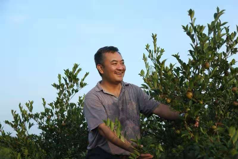 事迹5