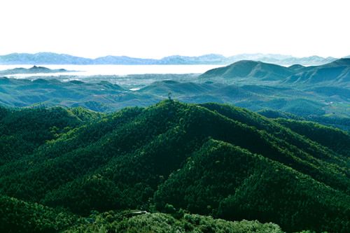 http://pic1.arkoo.com/jiulongshan/picture/5D20D62EEBC6465A.jpg