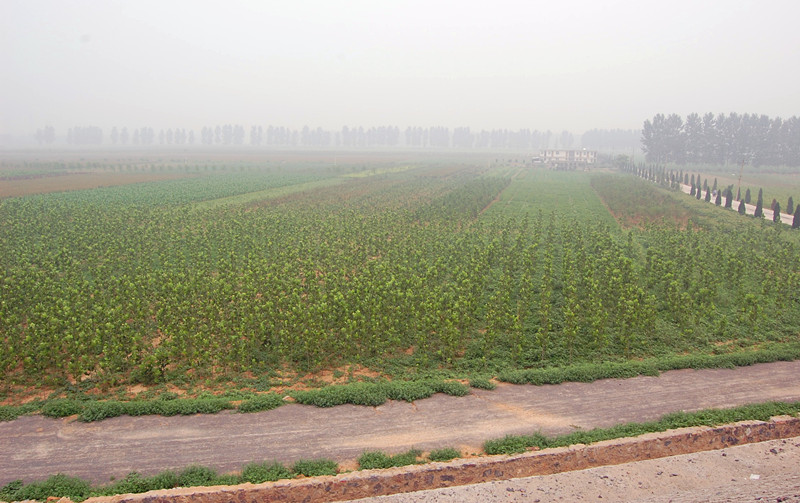 http://pic1.arkoo.com/luoyanglinzhan/picture/0DA97DAC96424921.jpg