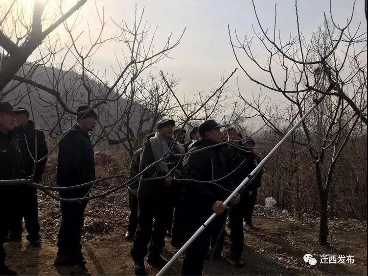 微信图片_20181224092411