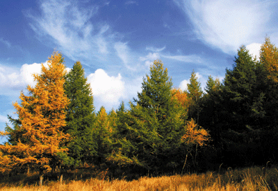 http://pic1.arkoo.com/nfp0052/picture/066505E8F35149A3.gif
