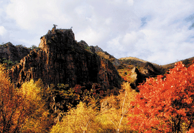 http://pic1.arkoo.com/nfp0052/picture/E3E620A661654826.gif