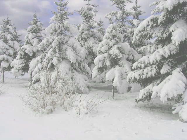 http://pic1.arkoo.com/nfp0215/picture/4970117EB1C94EF9.jpg