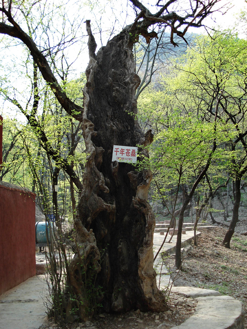 http://pic1.arkoo.com/nfp0277/picture/5FBE1B54B93241BA.jpg
