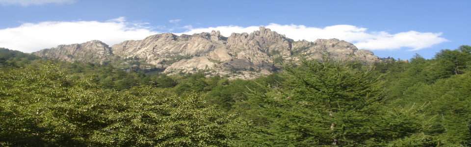 http://pic1.arkoo.com/nnr0021/picture/F0DF3854ADEE4482.jpg