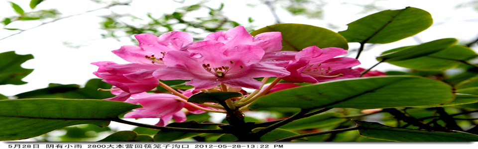 http://pic1.arkoo.com/nnr0187/picture/1A1FBF543F944C0E.jpg