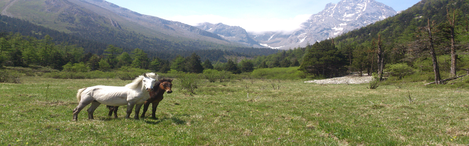 http://pic1.arkoo.com/nnr0191/picture/313E9293A28B423E.jpg