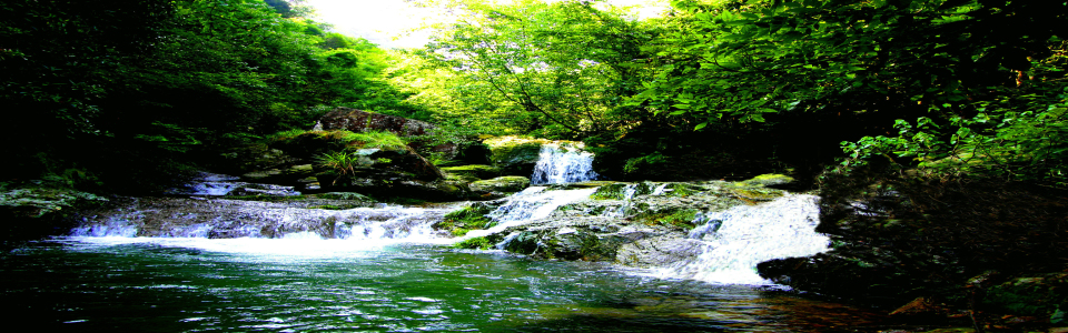 http://pic1.arkoo.com/pahxfjmsq/picture/BF76767F5F9B4910.jpg