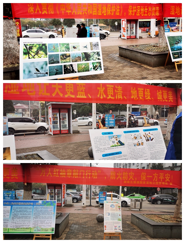 新闻6