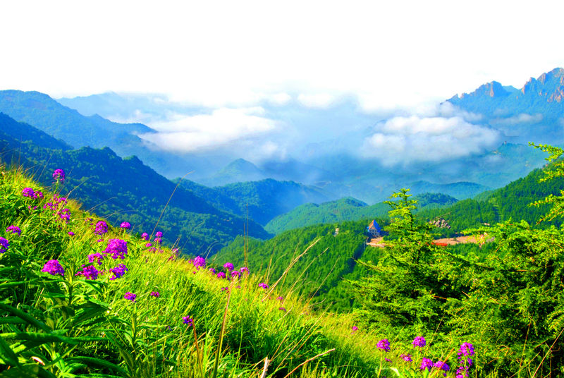 http://pic1.arkoo.com/wulingshan/picture/6821CC64EDE74898.jpg