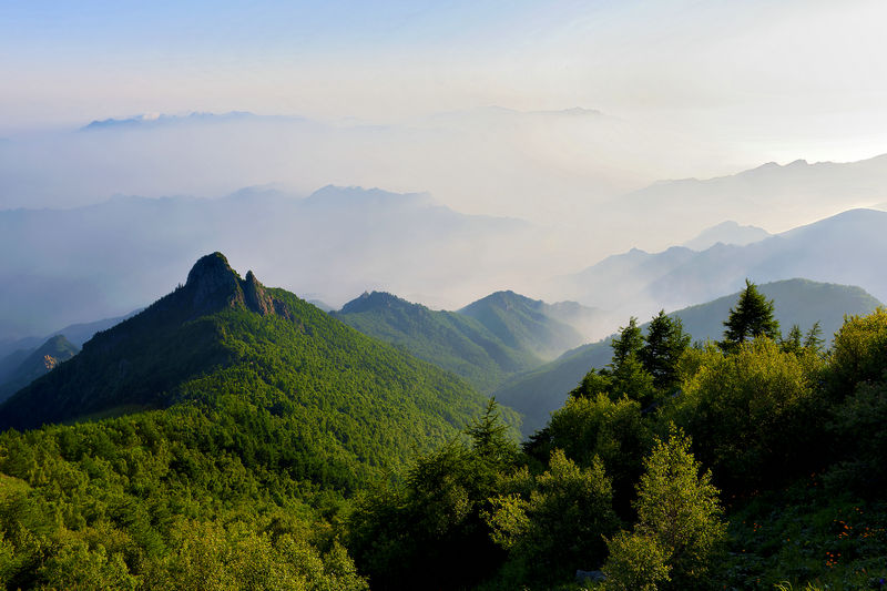 http://pic1.arkoo.com/wulingshan/picture/AF949913F22046F1.jpg