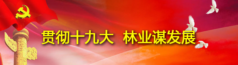 贯彻十九大  林业谋发展