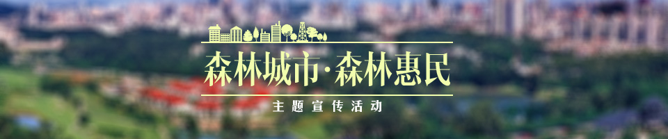 森林城市森林惠民