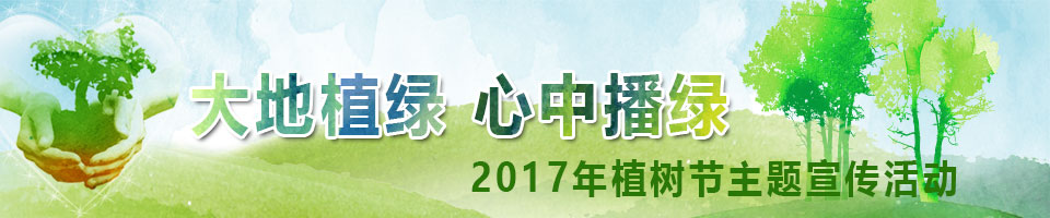 森林城市森林惠民