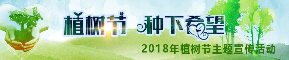 森林城市森林惠民