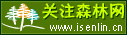 关注森林网